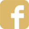 FB icon